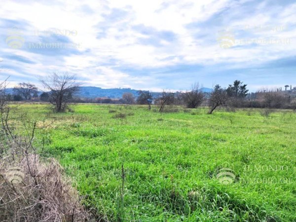 terreno agricolo in vendita a Palombara Sabina
