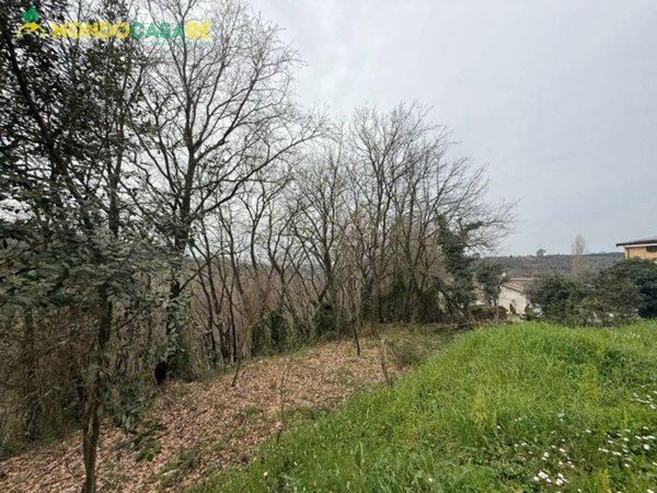 terreno agricolo in vendita a Palombara Sabina