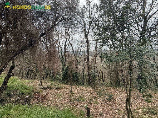 terreno agricolo in vendita a Palombara Sabina