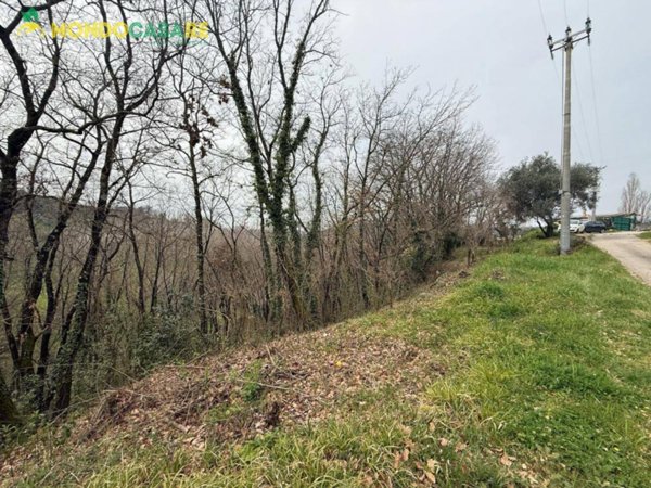 terreno agricolo in vendita a Palombara Sabina