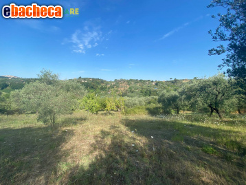 terreno agricolo in vendita a Palombara Sabina