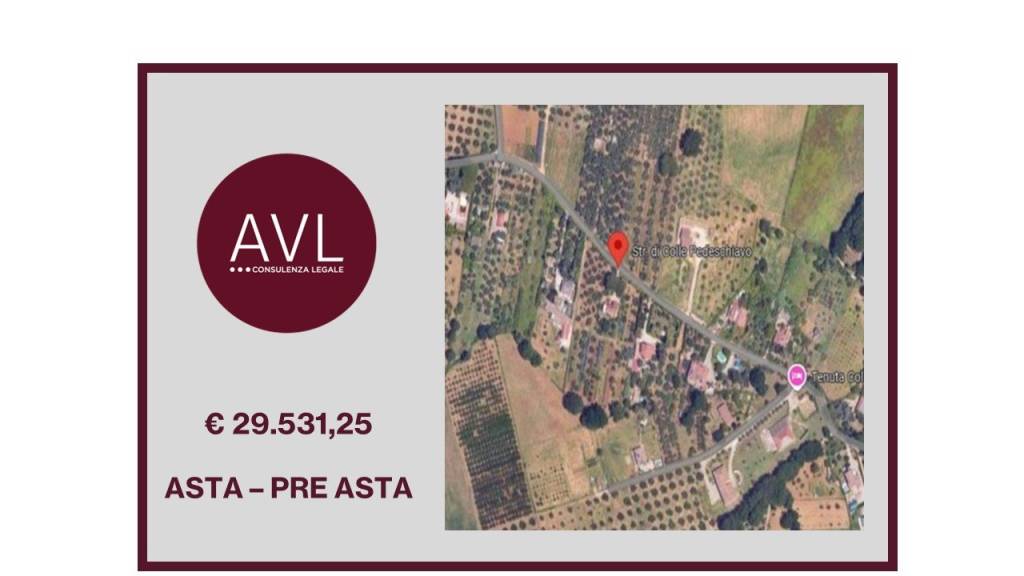 appartamento in vendita a Palombara Sabina