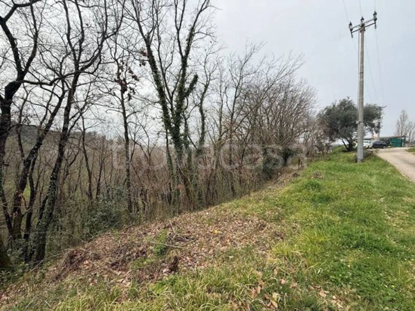 terreno agricolo in vendita a Palombara Sabina