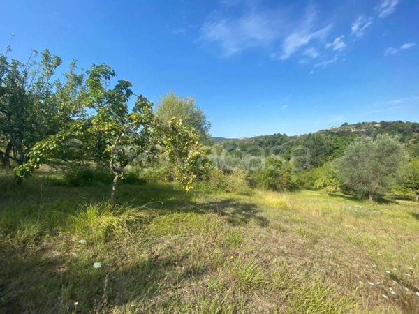 terreno agricolo in vendita a Palombara Sabina