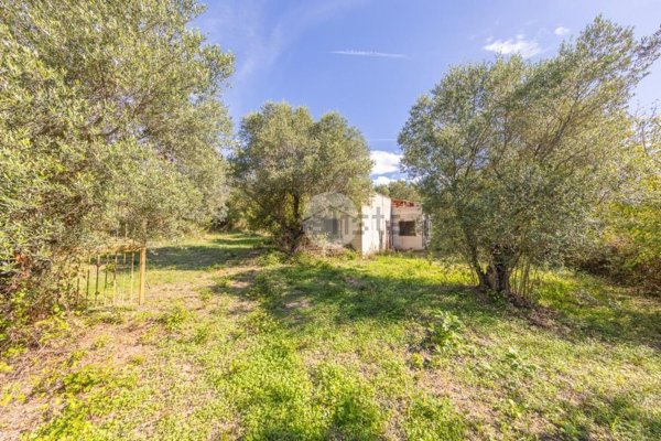 appartamento in vendita a Palombara Sabina