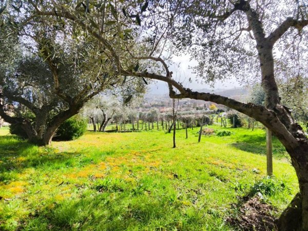 casa indipendente in vendita a Palombara Sabina