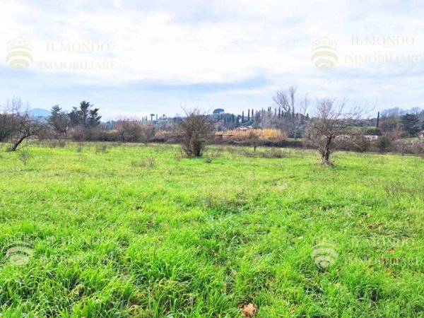 terreno agricolo in vendita a Palombara Sabina