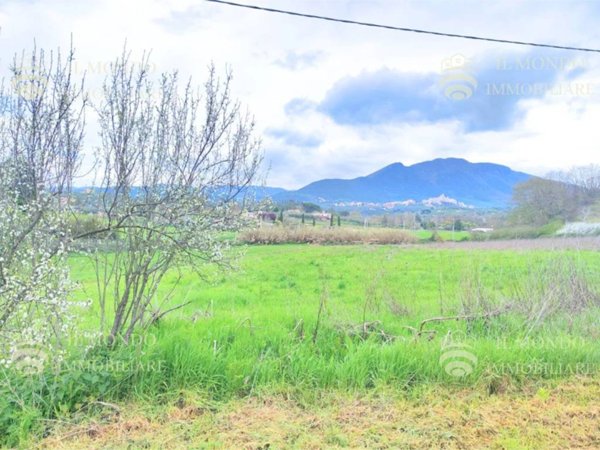 terreno agricolo in vendita a Palombara Sabina