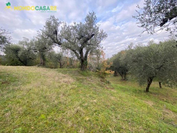 terreno agricolo in vendita a Palombara Sabina