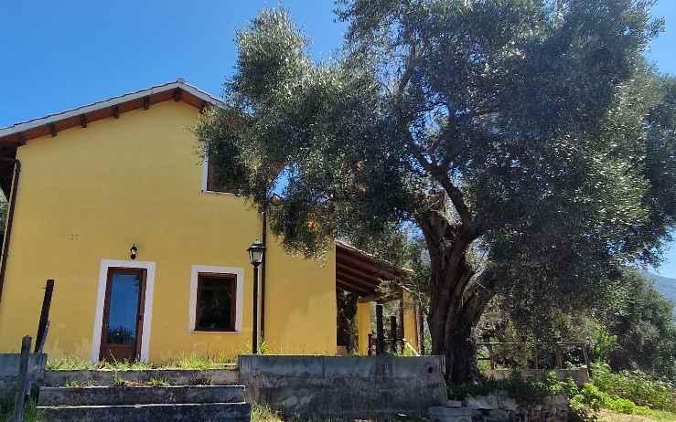 casa indipendente in vendita a Palombara Sabina