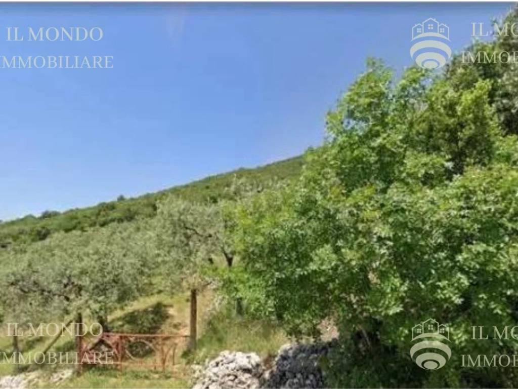terreno agricolo in vendita a Palombara Sabina