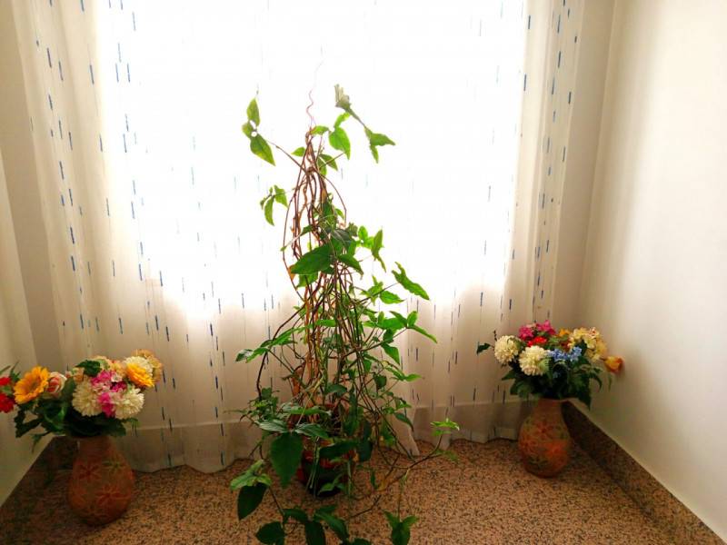 casa indipendente in vendita a Palombara Sabina in zona Cretone