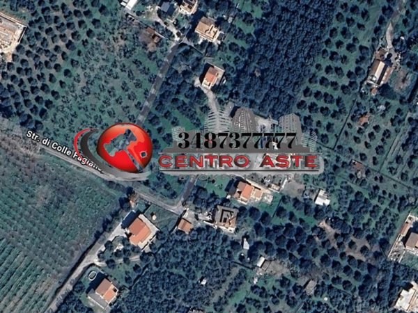 appartamento in vendita a Palombara Sabina