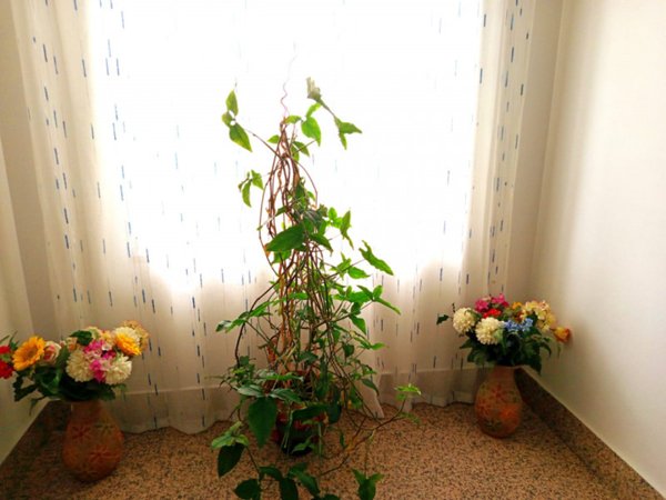 casa indipendente in vendita a Palombara Sabina in zona Cretone