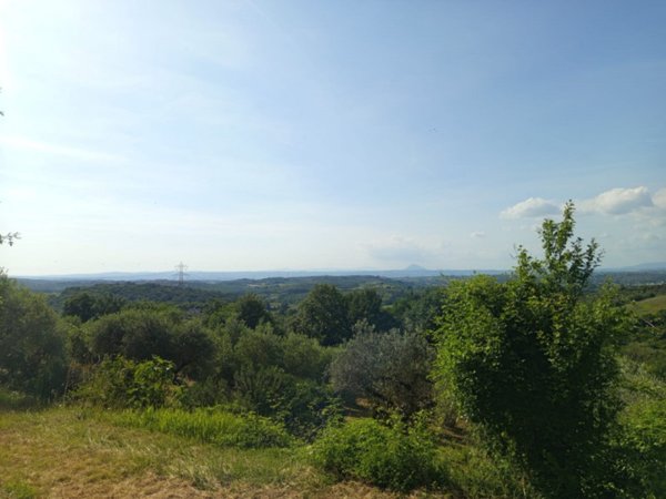 terreno agricolo in vendita a Palombara Sabina