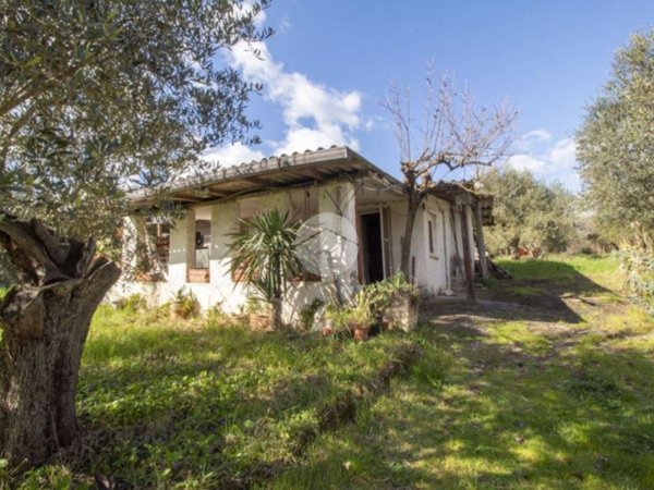 casa indipendente in vendita a Palombara Sabina