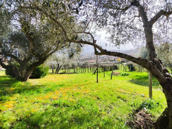 casa indipendente in vendita a Palombara Sabina