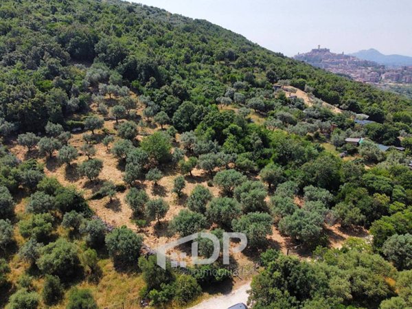 terreno agricolo in vendita a Palombara Sabina