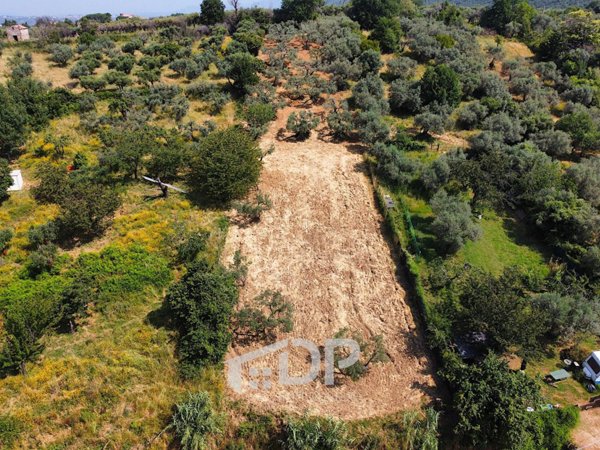 terreno agricolo in vendita a Palombara Sabina in zona Stazzano