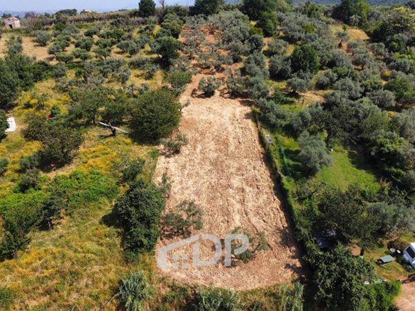 terreno agricolo in vendita a Palombara Sabina in zona Stazzano