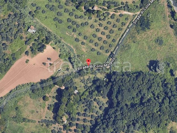 appartamento in vendita a Palombara Sabina