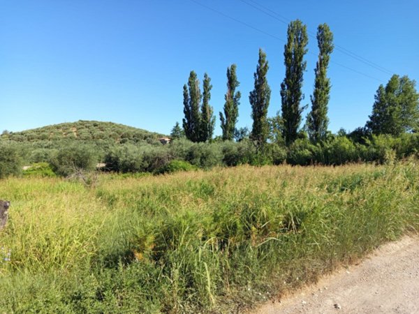 terreno agricolo in vendita a Palombara Sabina