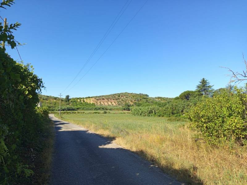 terreno agricolo in vendita a Palombara Sabina