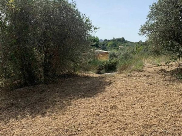 terreno agricolo in vendita a Palombara Sabina