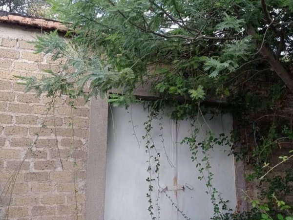 casale in vendita a Palombara Sabina