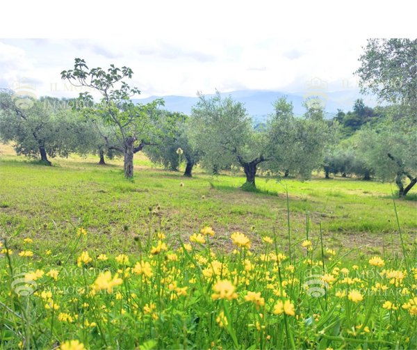 casa indipendente in vendita a Palombara Sabina