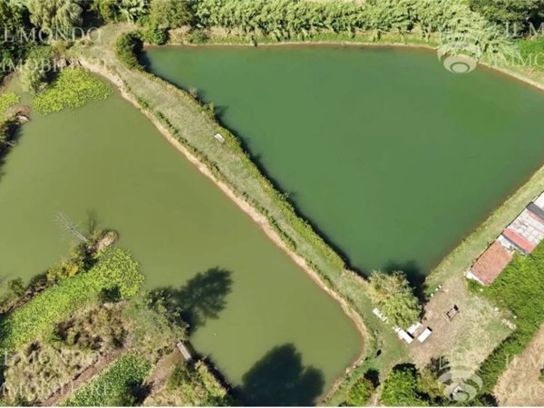 terreno agricolo in vendita a Palombara Sabina