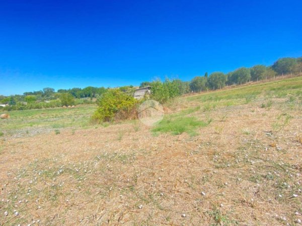 locale di sgombero in vendita a Palombara Sabina