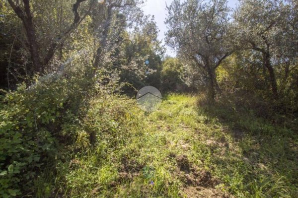 appartamento in vendita a Palombara Sabina