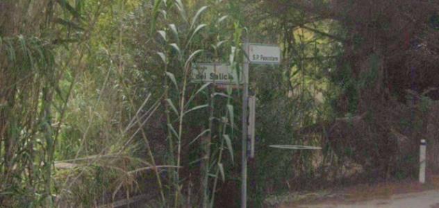appartamento in vendita a Palombara Sabina