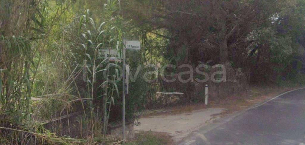 appartamento in vendita a Palombara Sabina