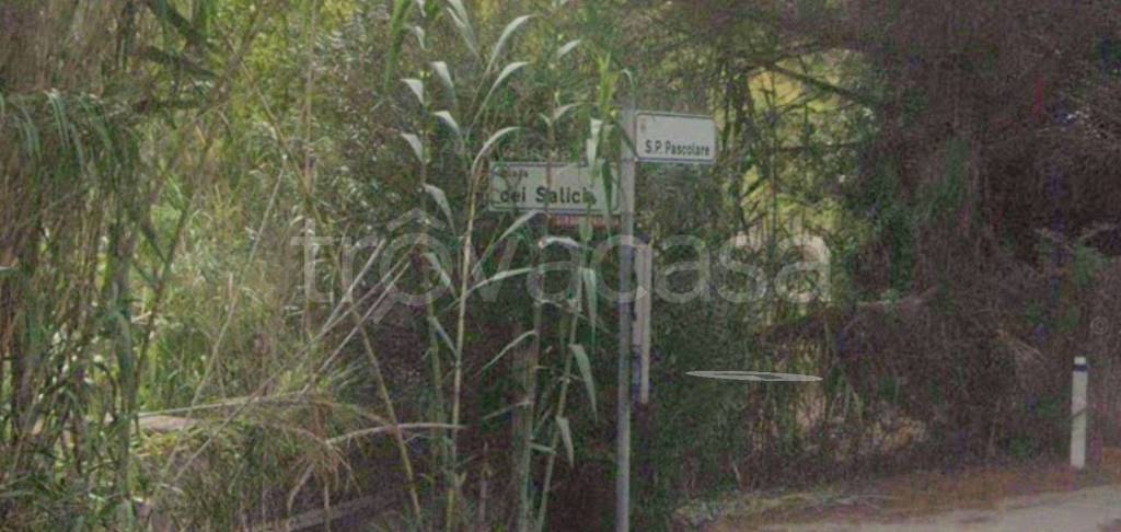 appartamento in vendita a Palombara Sabina