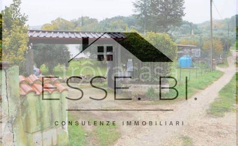 casa indipendente in vendita a Palombara Sabina