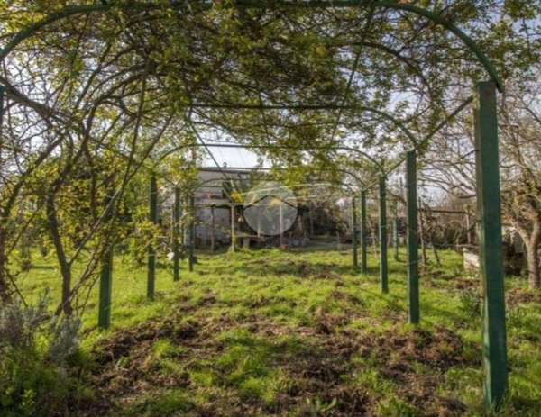 casa indipendente in vendita a Palombara Sabina in zona Stazzano