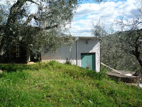 locale commerciale in vendita a Palombara Sabina