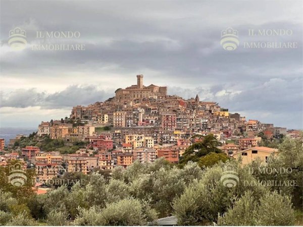 appartamento in vendita a Palombara Sabina