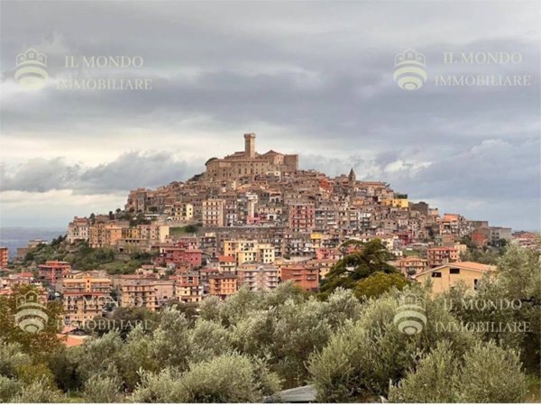 appartamento in vendita a Palombara Sabina
