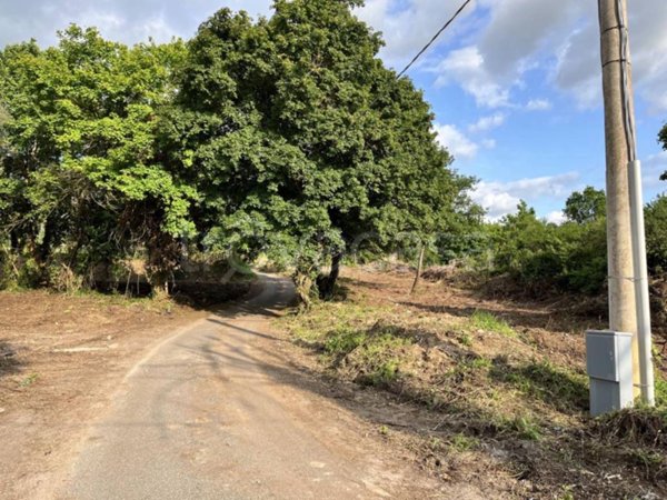 terreno agricolo in vendita a Palombara Sabina