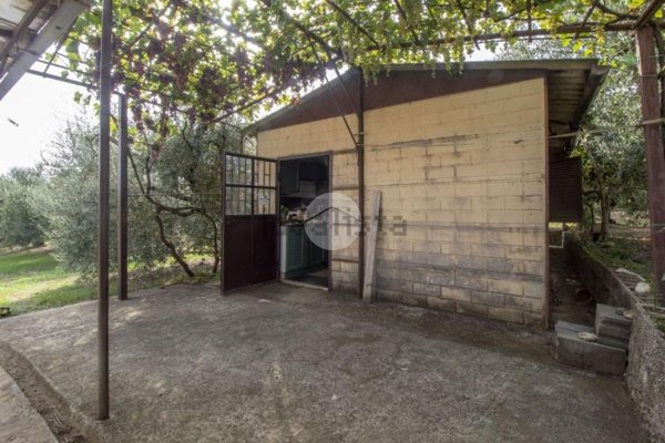 appartamento in vendita a Palombara Sabina