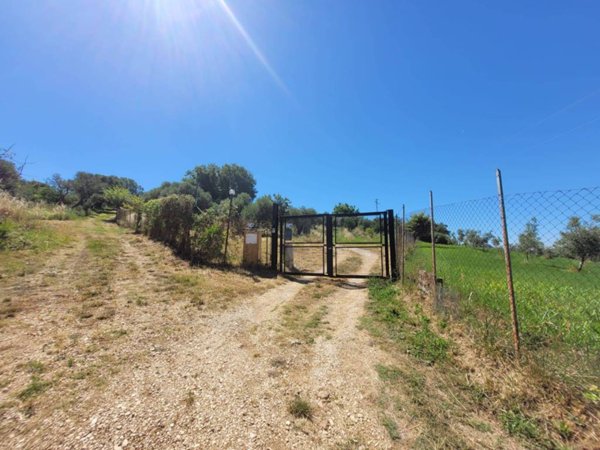 casa indipendente in vendita a Palombara Sabina