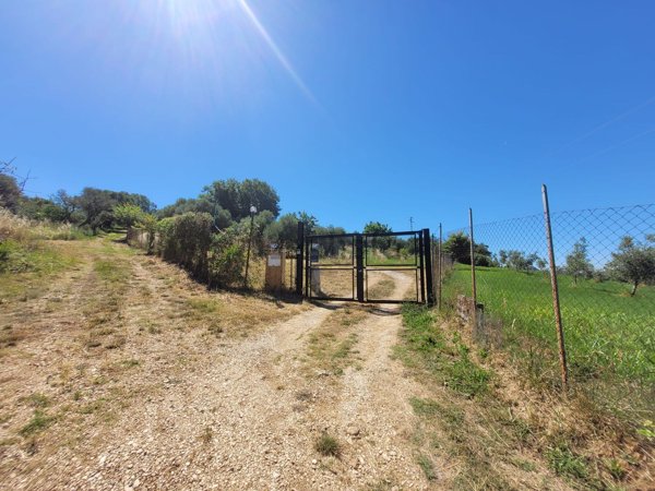 appartamento in vendita a Palombara Sabina