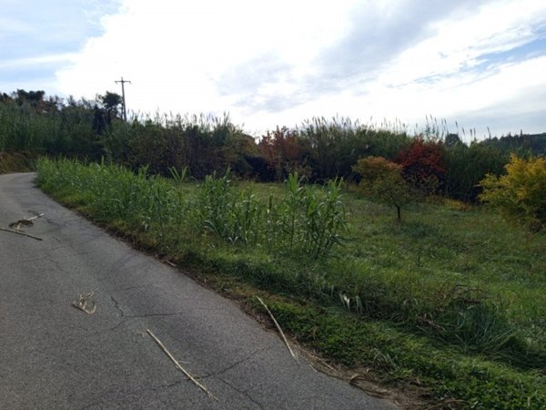 terreno agricolo in vendita a Palombara Sabina