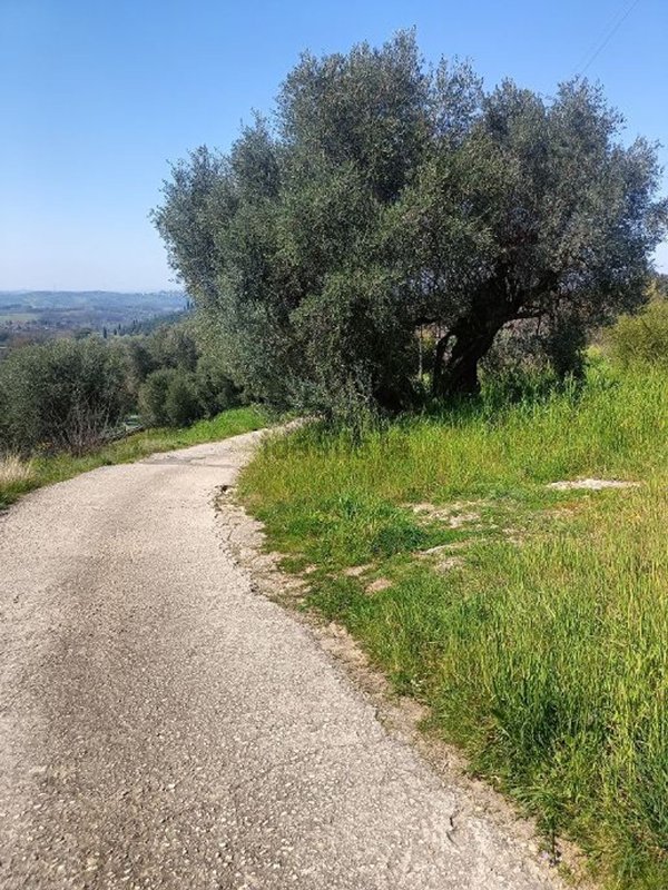 terreno agricolo in vendita a Palombara Sabina