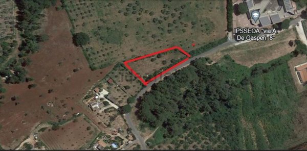terreno agricolo in vendita a Palombara Sabina