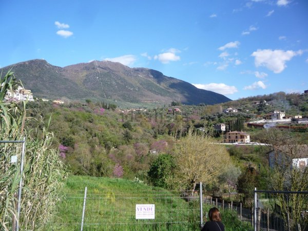 terreno agricolo in vendita a Palombara Sabina