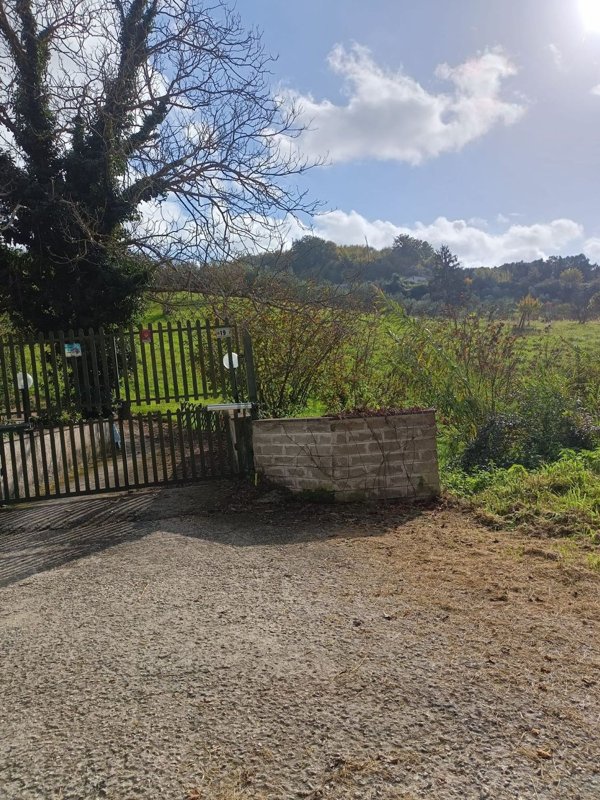terreno agricolo in vendita a Palombara Sabina